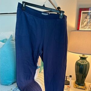 Anthropologie Soft, quality fabric pants.